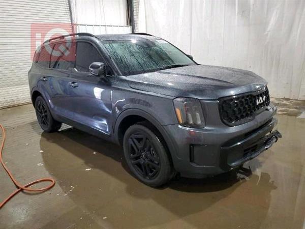 Kia Telluride 2024 for sale in Iraq - Karbala